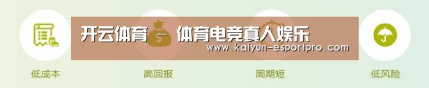 开云体育 - 体育电竞真人娱乐