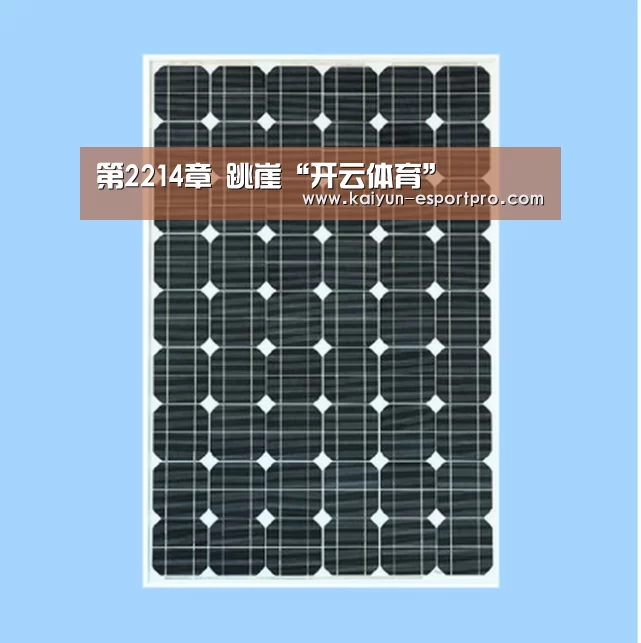 第2214章 跳崖“开云体育”(图2) 开云体育平台