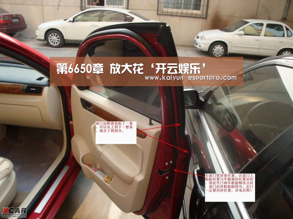 第6650章 放大花‘开云娱乐’(图2) 开云娱乐