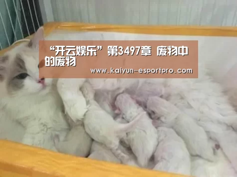 开云体育平台